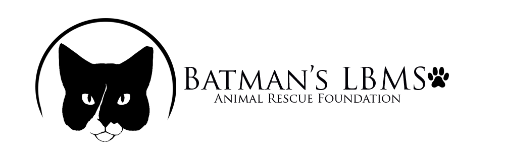 batmanslmbslogotransparent